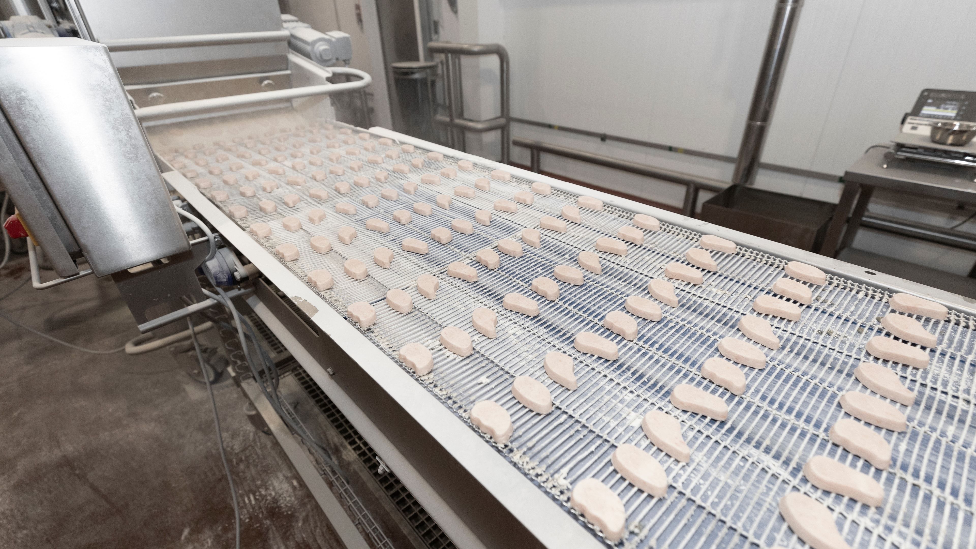 Línea continua de producción cárnica con banda transportadora industrial